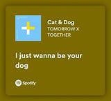 Meaning of Cat & Dog by Tomorrow X Together