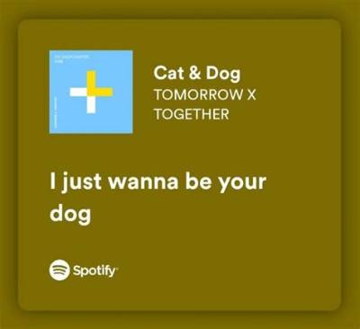 Meaning of Cat & Dog by Tomorrow X Together