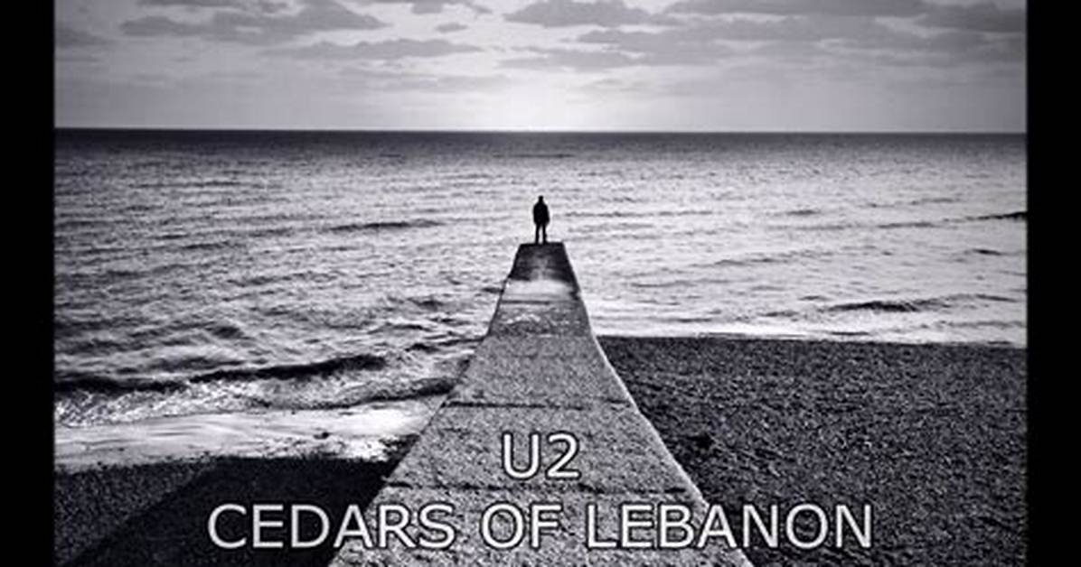 Meaning of Cedars of Lebanon by U2
