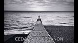 Meaning of Cedars of Lebanon by U2