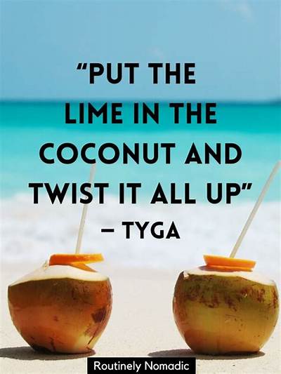Meaning of Coconut Juice (Remix) by Lil Wayne