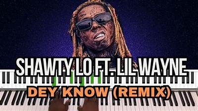Meaning of Dey Know (Remix) by Lil Wayne