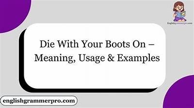 Meaning of Die with Your Boots on [Live After Death] by Iron Maiden
