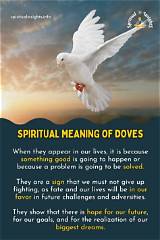 Meaning of Doves in the Wind by Sza