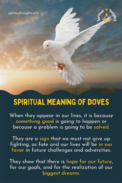 Meaning of Doves in the Wind by Sza