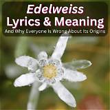 Meaning of ​Edelweiss by Christina Perri