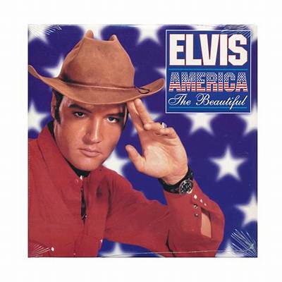 Meaning of Elvis Presley and America by U2
