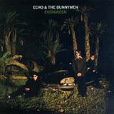 Meaning of Evergreen by Echo & the Bunnymen