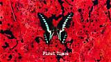 Meaning of First Times by Ed Sheeran