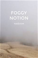 Meaning of Foggy Notion by Echo & the Bunnymen
