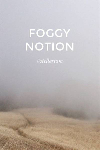 Meaning of Foggy Notion by Echo & the Bunnymen