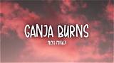Meaning of Ganja Burns by Nicki Minaj