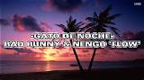 Meaning of Gato De Noche by Bad Bunny