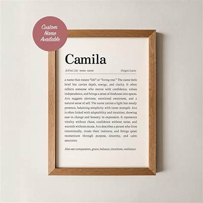 Meaning of Girls Can Tell by Camila Cabello