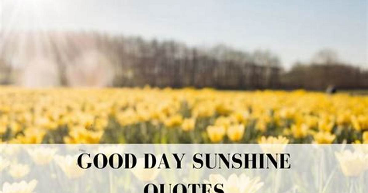 Meaning of Good Day Sunshine by the Beatles