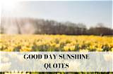 Meaning of Good Day Sunshine by the Beatles