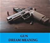 Meaning of Guns in the Sky by Inxs