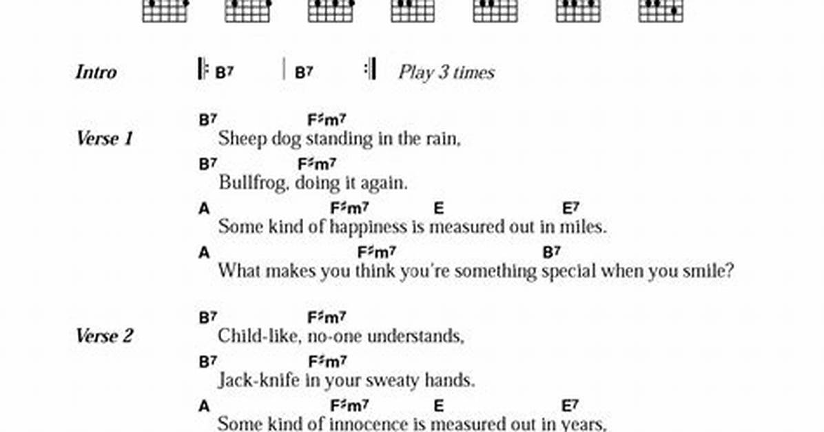 Meaning of Hey Bulldog by The