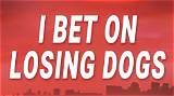 Meaning of I Bet on Losing Dogs by Mitski