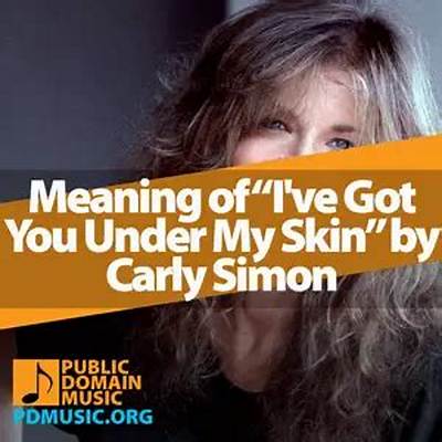 Meaning of I’ve Got You Under My Skin by Frank Sinatra