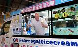 Meaning of Ice Cream Man by Van Halen