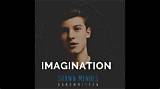 Meaning of Imagination by Shawn Mendes