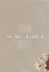 Meaning of in My Blood by Shawn Mendes