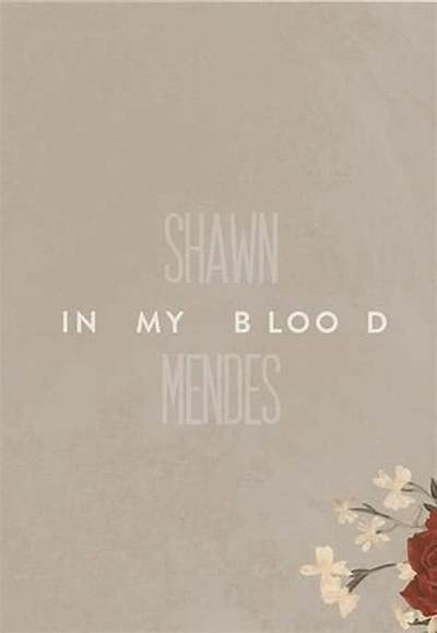 Meaning of in My Blood by Shawn Mendes