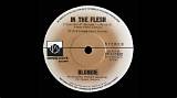 Meaning of in the Flesh by Blondie