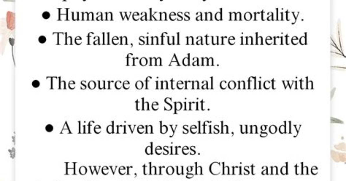 Meaning of in the Flesh By