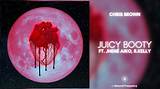 Meaning of Juicy Booty by Chris Brown