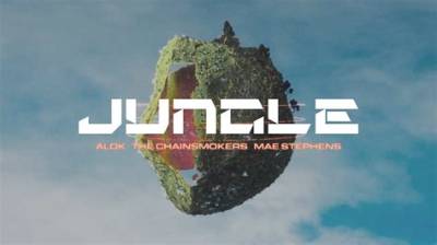 Meaning of Jungle by the Chainsmokers