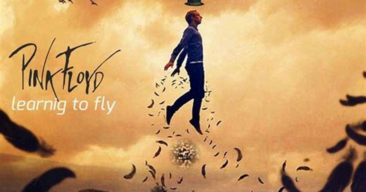 Meaning of Learning to Fly by Pink