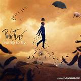 Meaning of Learning to Fly by Pink Floyd
