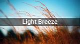 Meaning of Light as the Breeze by Billy Joel