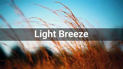 Meaning of Light as the Breeze by Billy Joel