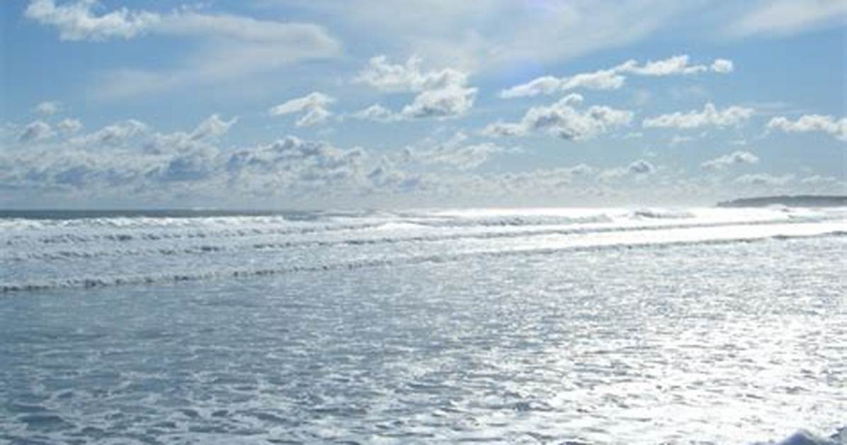 Meaning of Like Snow on the Beach Flying in A