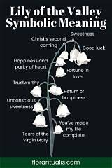 Meaning of Lily of the Valley by Queen