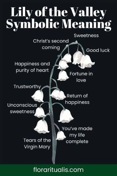 Meaning of Lily of the Valley by Queen