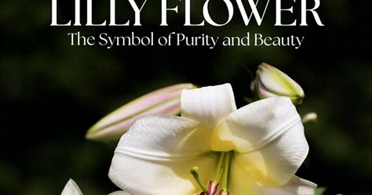 Meaning of Lily of the West by Bob