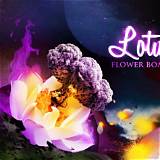 Meaning of Lotus Flower Bomb (Cover) by Jennie