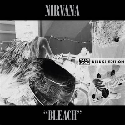 Meaning of Love Buzz by Nirvana