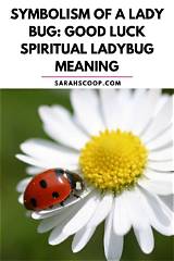 Meaning of Luck Be a Lady by Frank Sinatra
