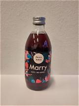 Meaning of Marry the Red Cola by Lady Gaga