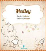 Meaning of Medley: Hit the Lights/Enter Sandman/Blackened/Creeping Death/Battery by Metallica