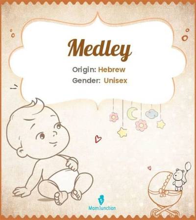 Meaning of Medley: Hit the Lights/Enter Sandman/Blackened/Creeping Death/Battery by Metallica
