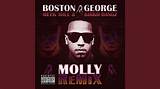 Meaning of Molly (Remix) by Meek Mill