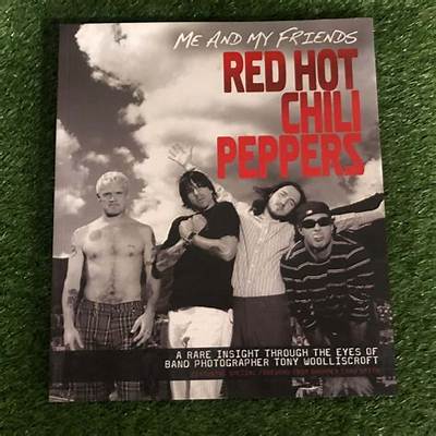 Meaning of My Friends by Red Hot Chili Peppers