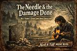 Meaning of Needle and the Damage Done by Red Hot Chili Peppers by Red Hot Chili Peppers