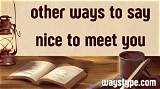 Meaning of " Nice to Meet You, Where You Been?"